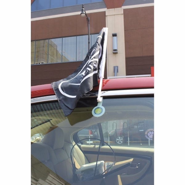 17" Flex Pole with Sticker
