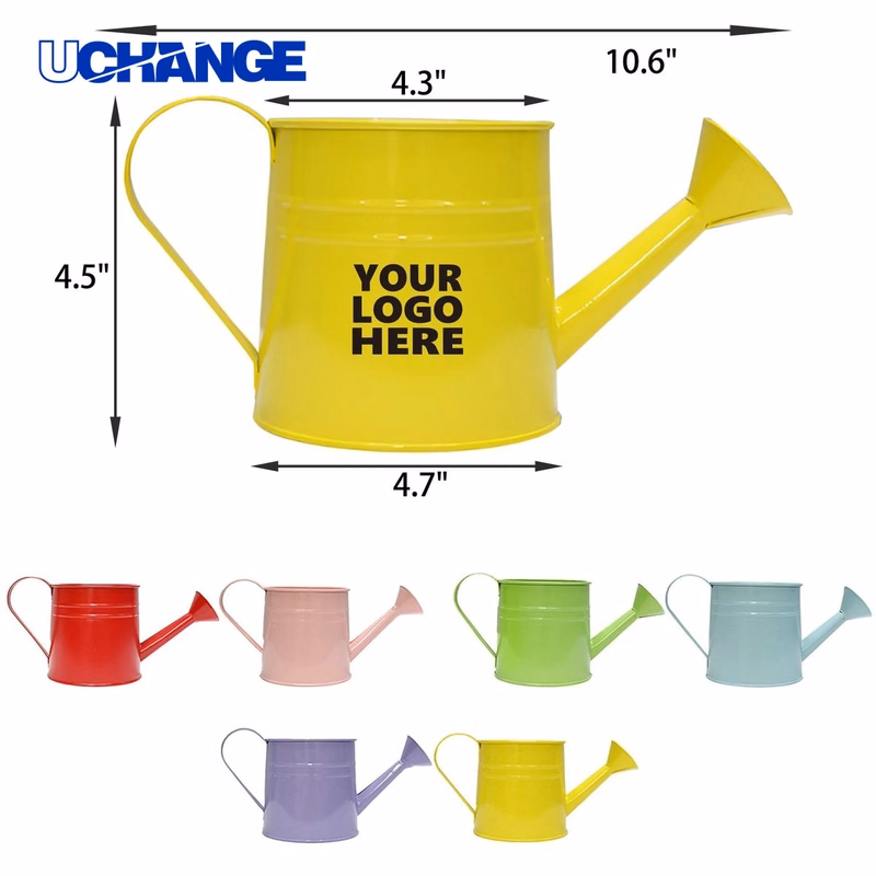 Watering Can Flower Pot Ornament Decoration