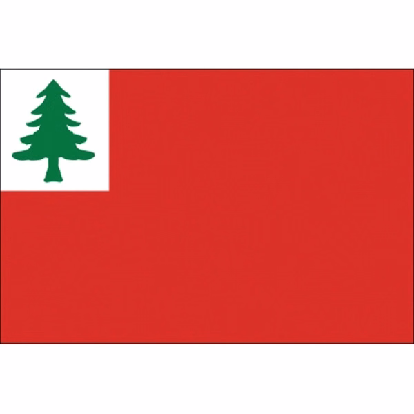 Special Historical Stick Flag - Continental