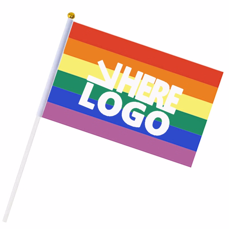 Small Progress Pride Rainbow Flag