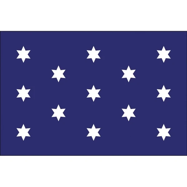 Special Historical Stick Flag - Washington's Commander 1