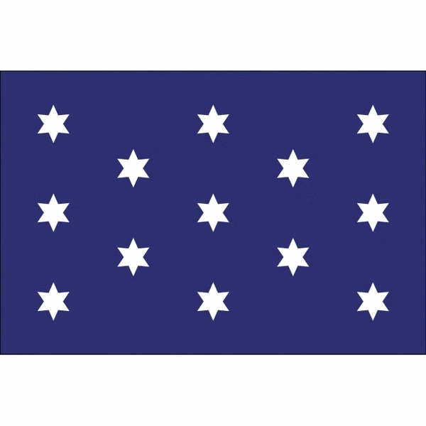 Special Historical Stick Flag - Washington's Commander