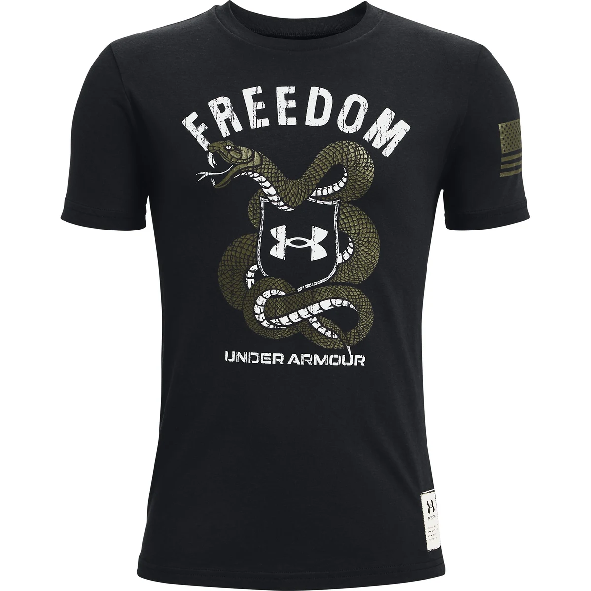 Boys' UA Freedom Fun T-Shirt 1