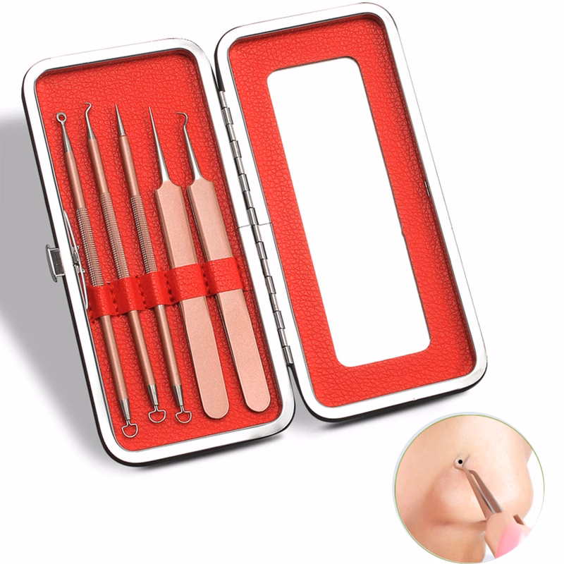 5 Pcs Acne Remover Needles Set