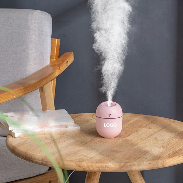 Mini Egg Humidifier 1