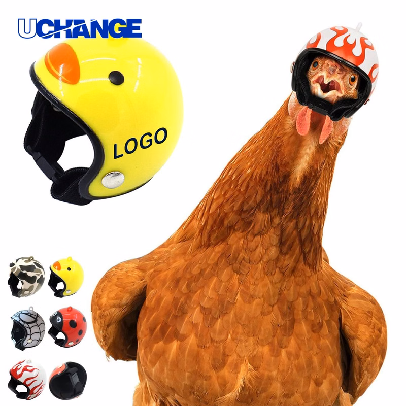Chicken Safety Helmet