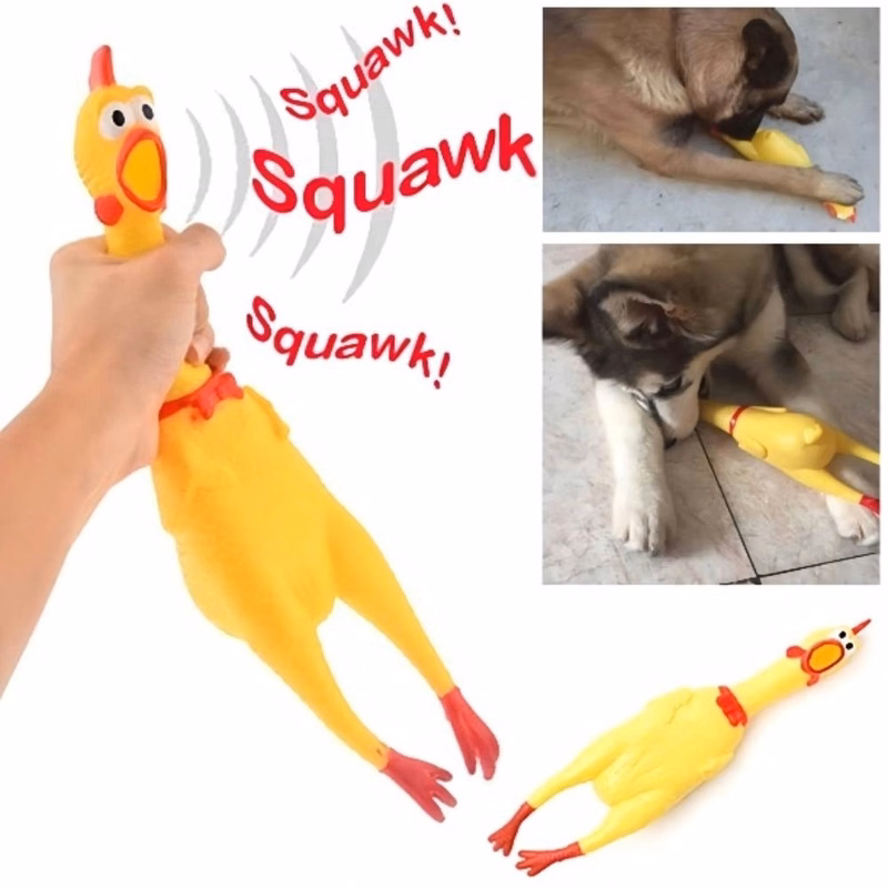 Squawking Chicken Dog Toys