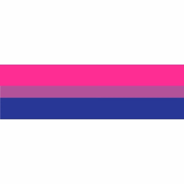 Bisexual Window Decals 3" x 10"