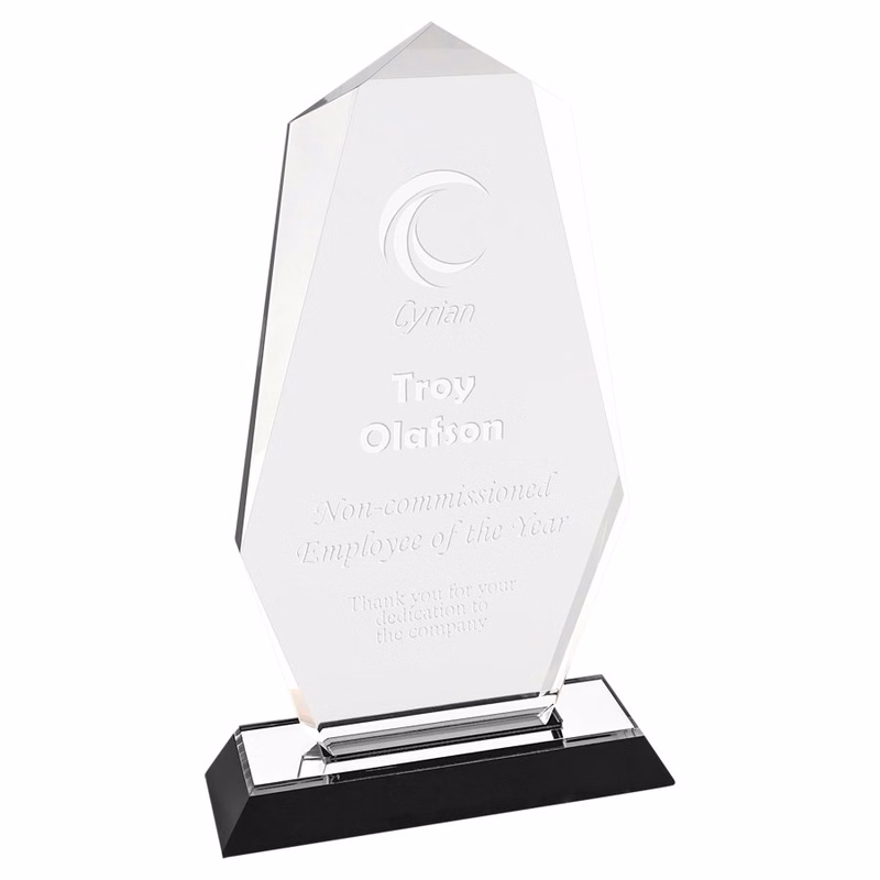 5" x 9" Silver Octagon Point Impress Acrylic Award
