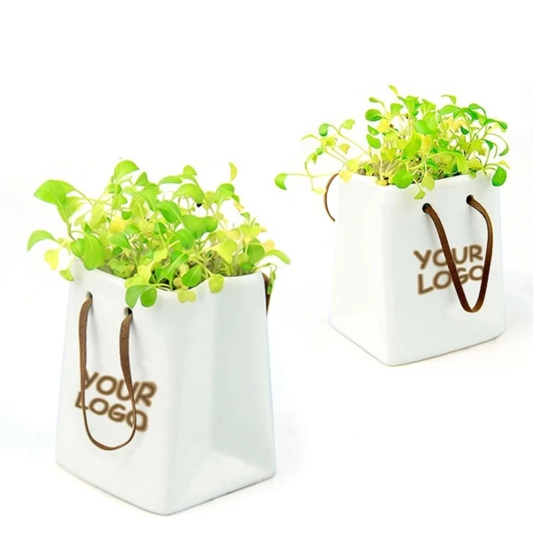 Ceremic Flower Pot 1