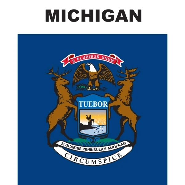 Mini Banner - Michigan 1