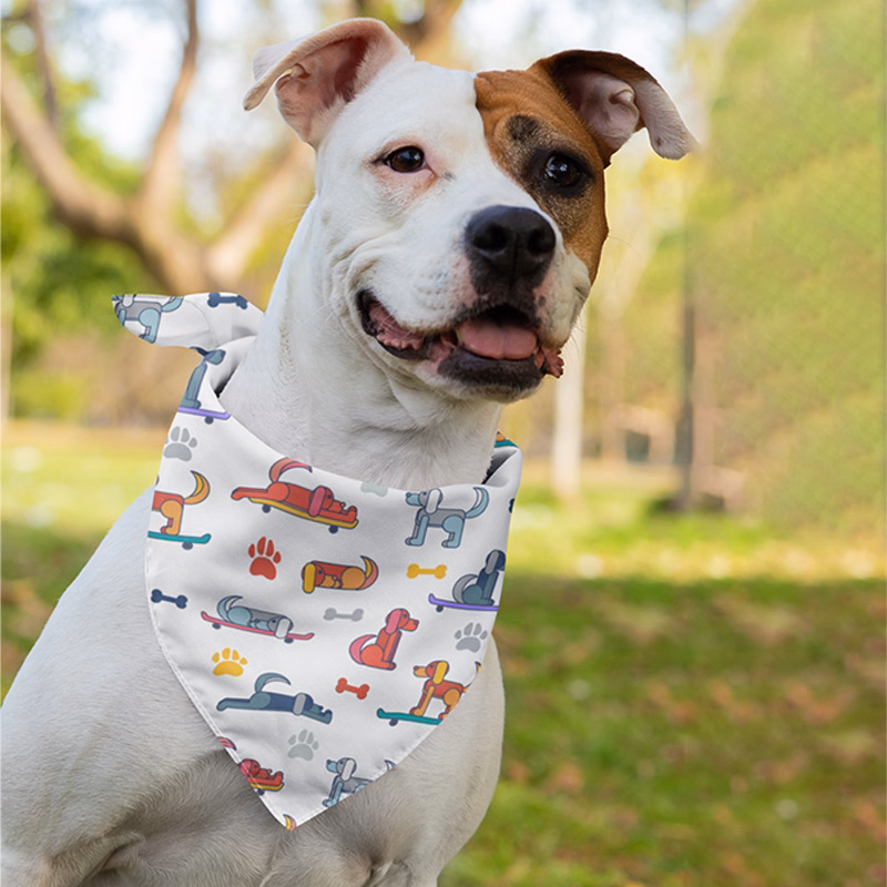 Pet Bandana Full Color 16x16