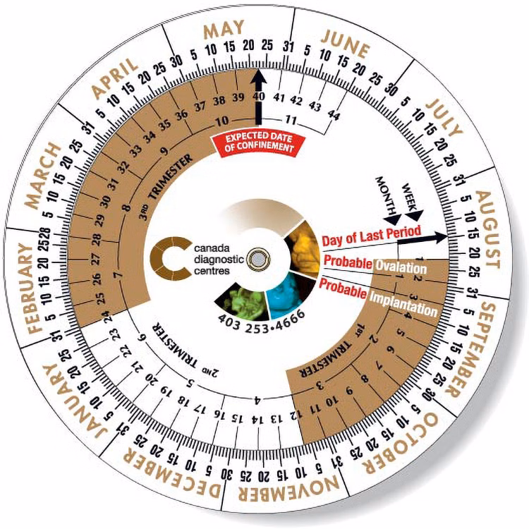 .020 White Plastic Birth Date Finder Wheel Calculator 6" dia, Full Colours