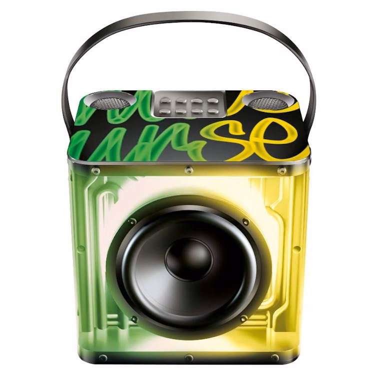Karaoke Speakers with Two Wireless Mics