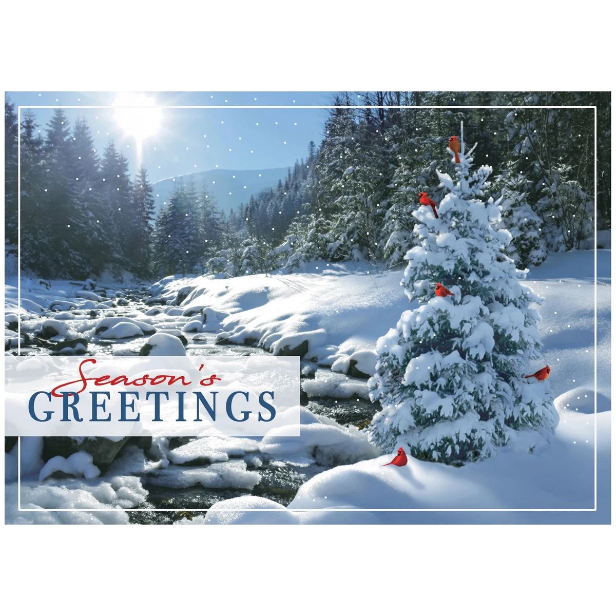 Sweet Seclusion Holiday Cards 1