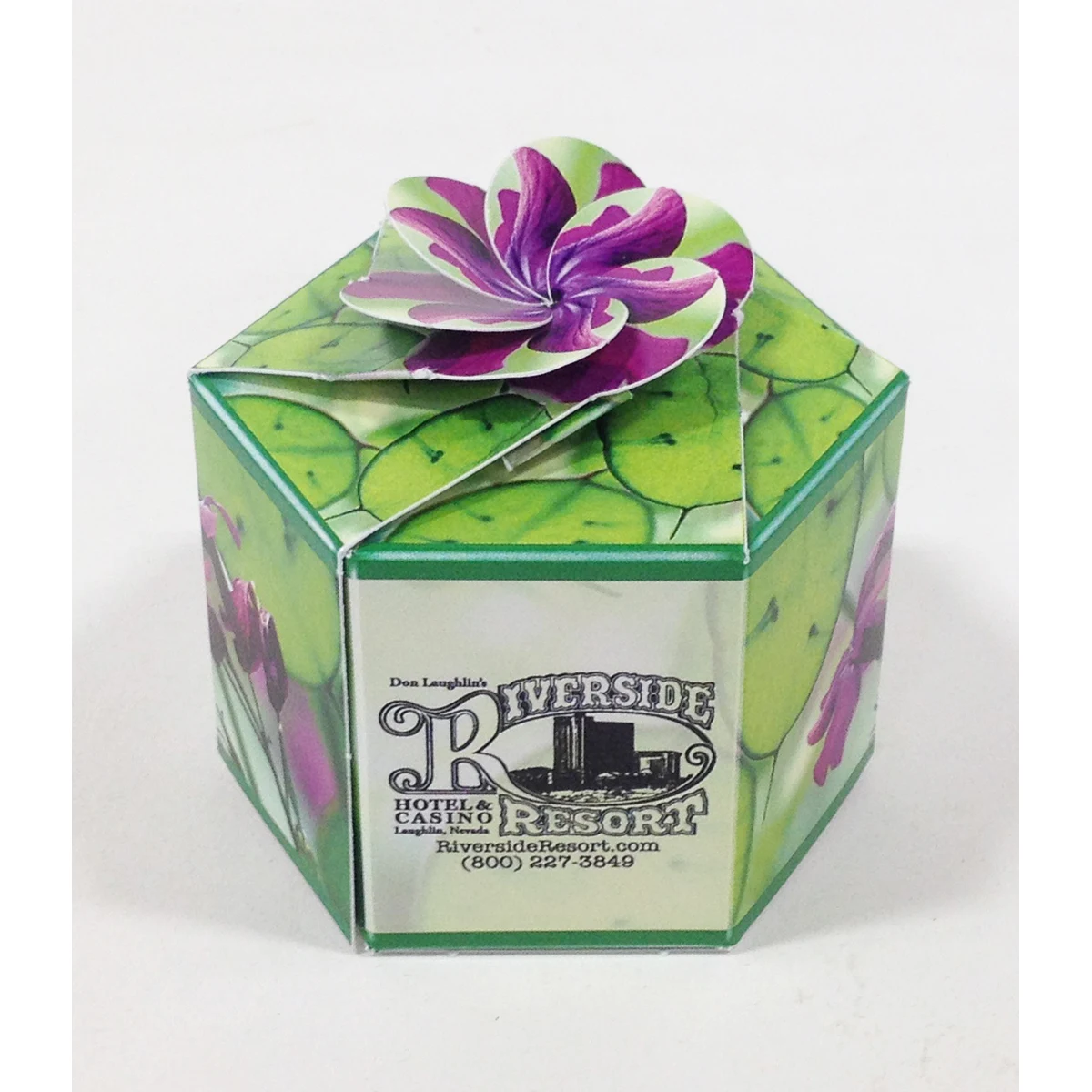 Moneyplant SeedGems Paper Planter - Biodegradable grow kit 1