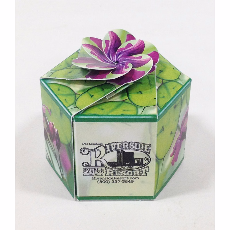 Moneyplant SeedGems Paper Planter - Biodegradable grow kit