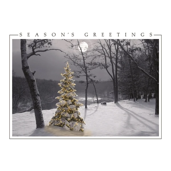 All is Bright Holiday Greeting Cards 1