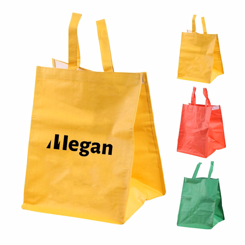 PP Woven Velcro Coated Color Printed Shopping Tote Bag