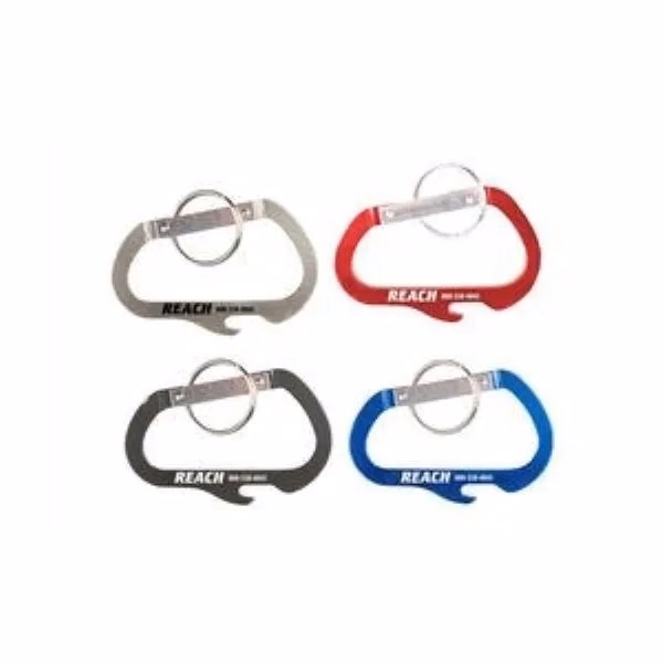 Carabiner with Bottle Opener and Key Ring