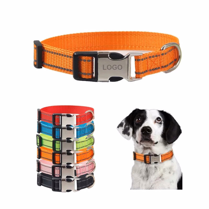 Dog Collar with Metal Buckle