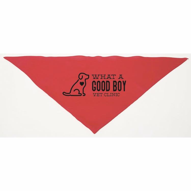 Personalized Large Red Triangle Pet Bandana
