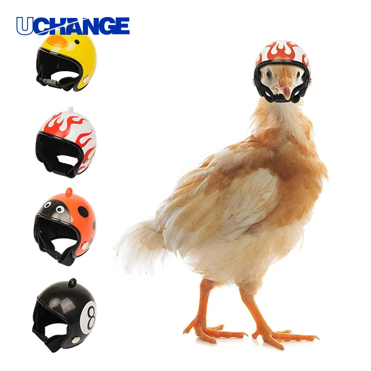 Personalized Poultry Mini Helmet 1