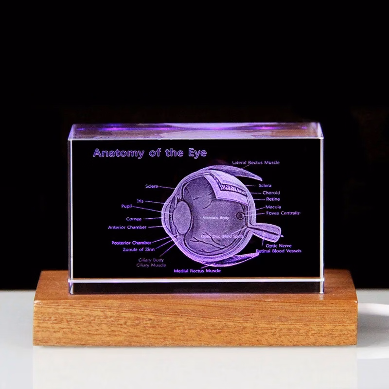 Custom 3D Crystal Photo with LED Light Base