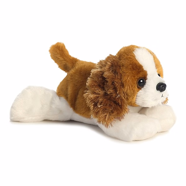 8" Cavalier King Charles