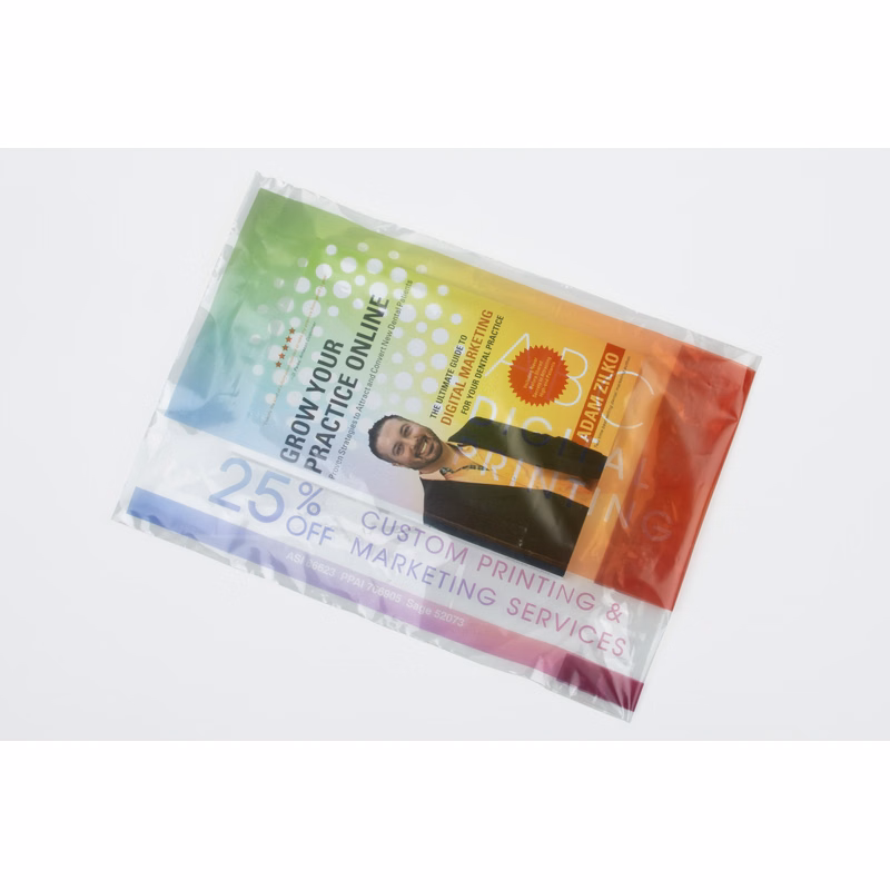Clear Peel & Seal 2-Sided Plastic Bag (10" x 13.5")