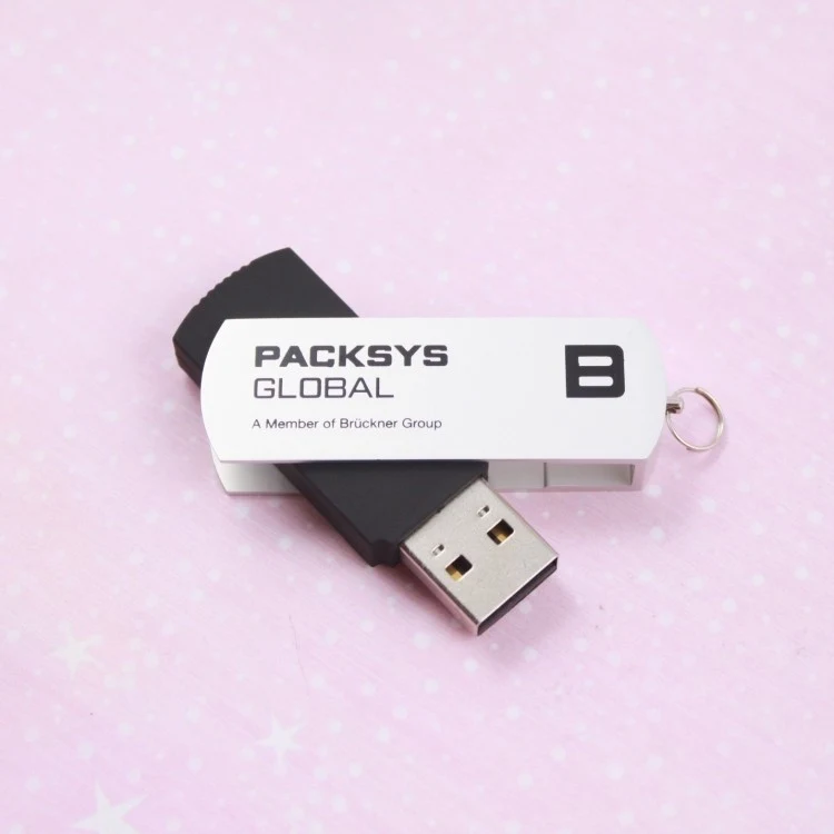 Custom Promotion Swivel 2GB USB Flash Drive 1