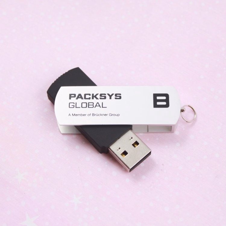 Custom Promotion Swivel 2GB USB Flash Drive