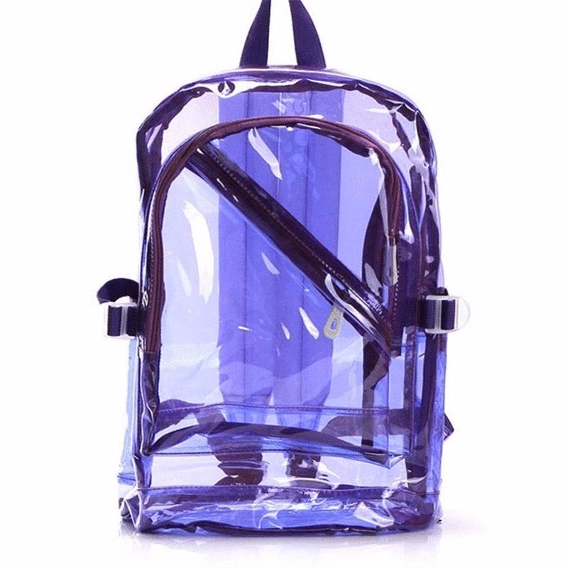 Translucent School Backpack