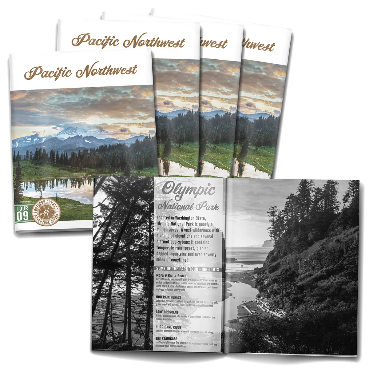 16-page (8.5x11) Booklet, Brochure or Catalog - Black Pages 1