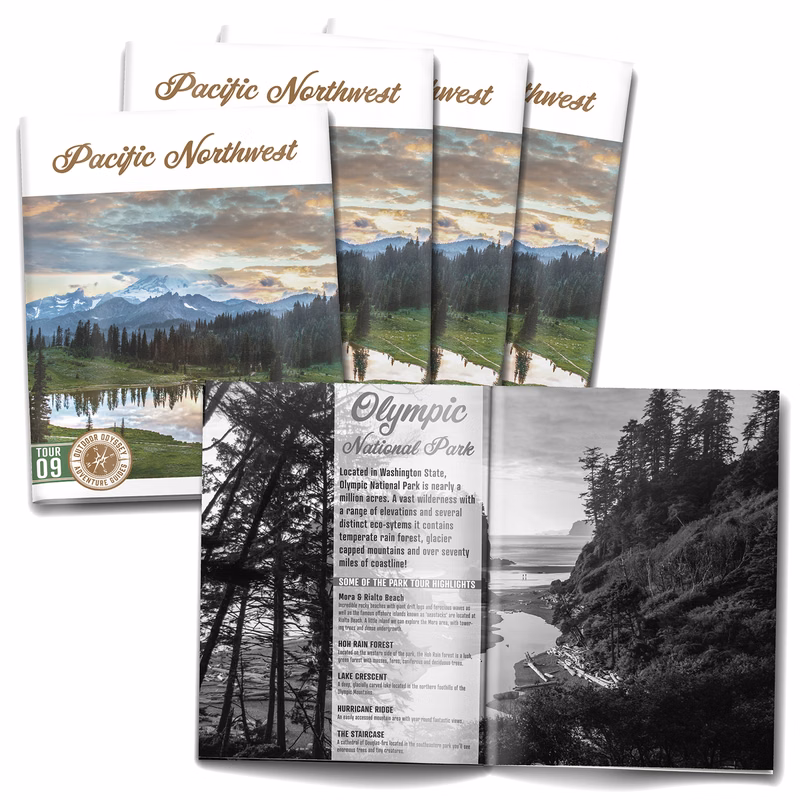 16-page (8.5x11) Booklet, Brochure or Catalog - Black Pages