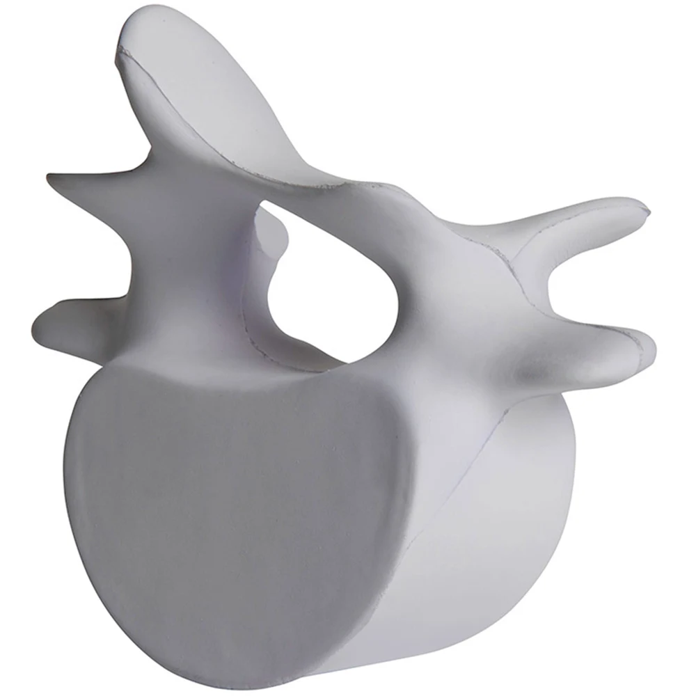 Vertebrae Stress Reliever 1