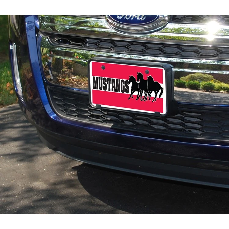 Plastic License Plates 1