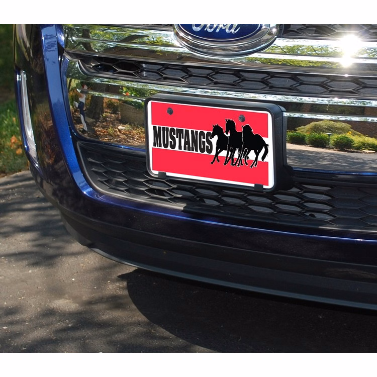 Plastic License Plates