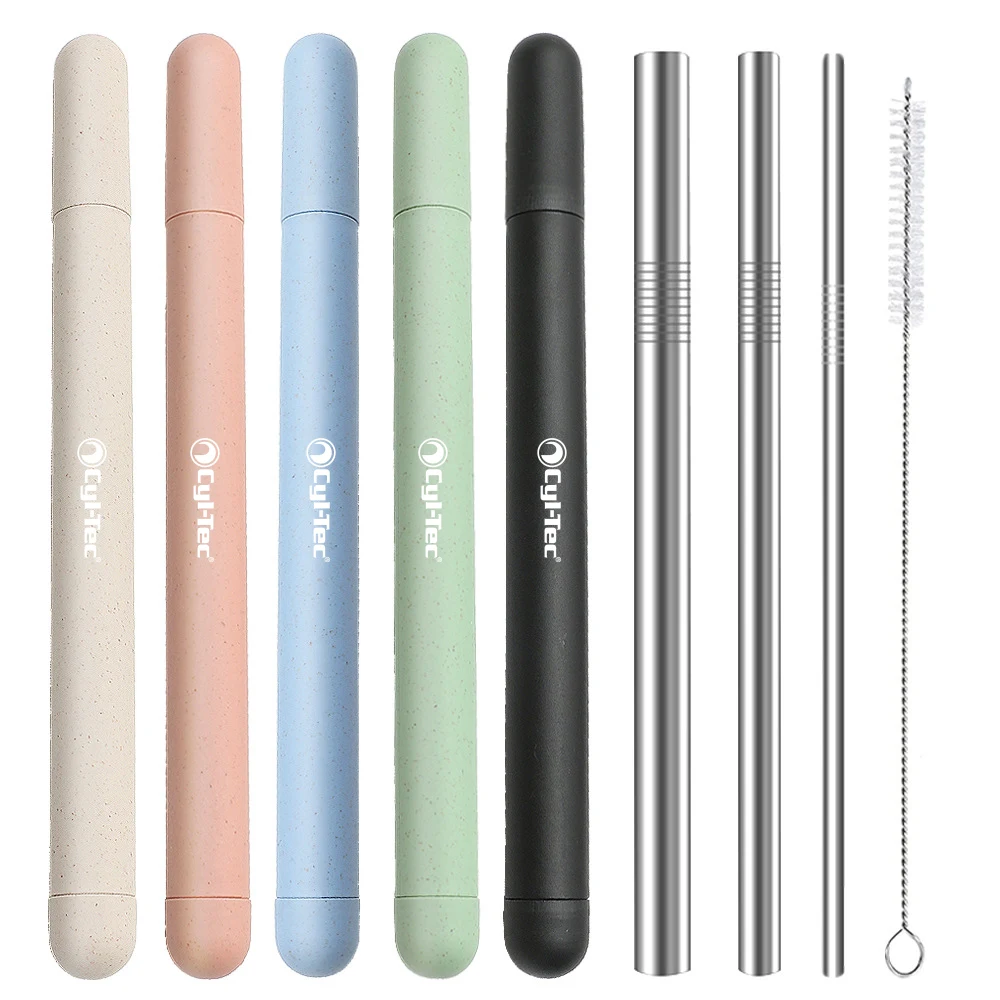 Stainless Steel Straw w/Case 1