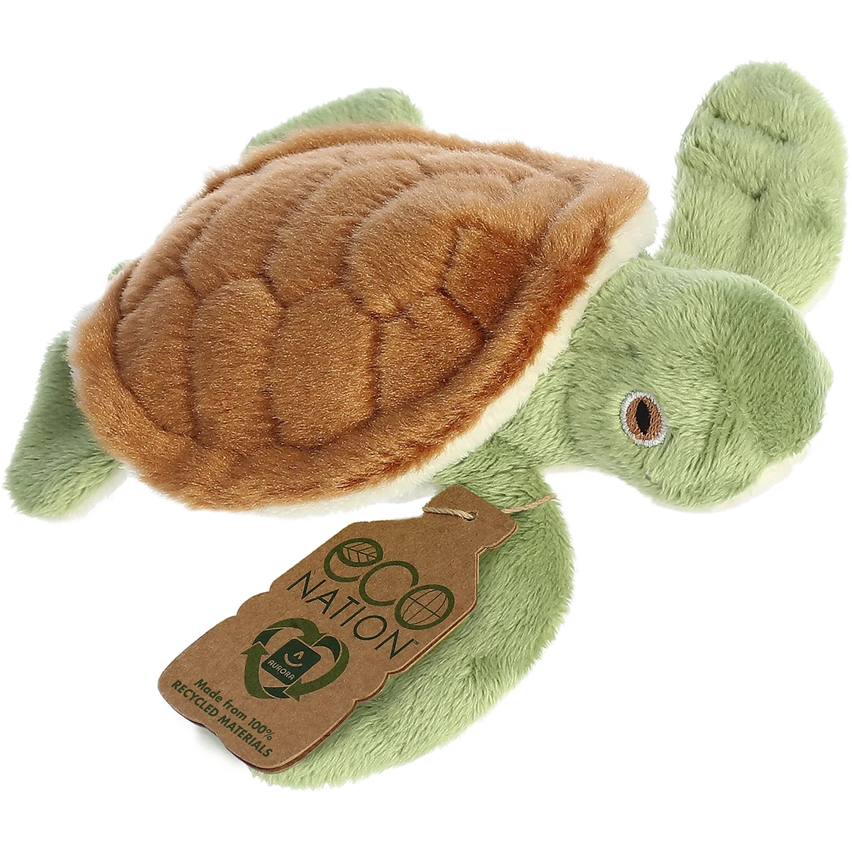 5" Mini Eco Turtle 1