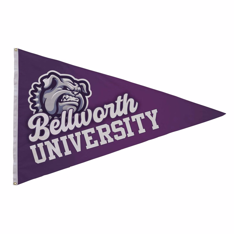 4' x 6' Nylon Pennant Flag Single-Sided