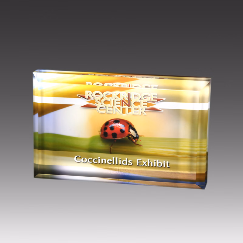 4.5" x 3.5" AcryliPrint HD Rectangle Paperweight