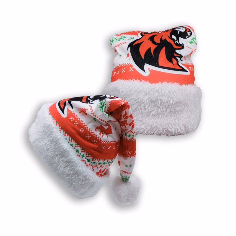 Santa Beanie