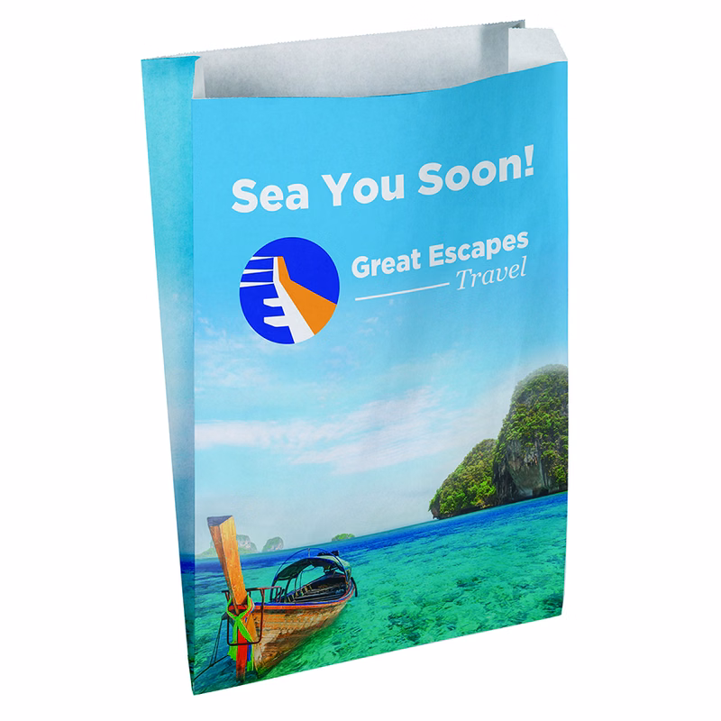 Full Color 2-Sided Merchant Paper Bags (9" x 13" x 2.5")