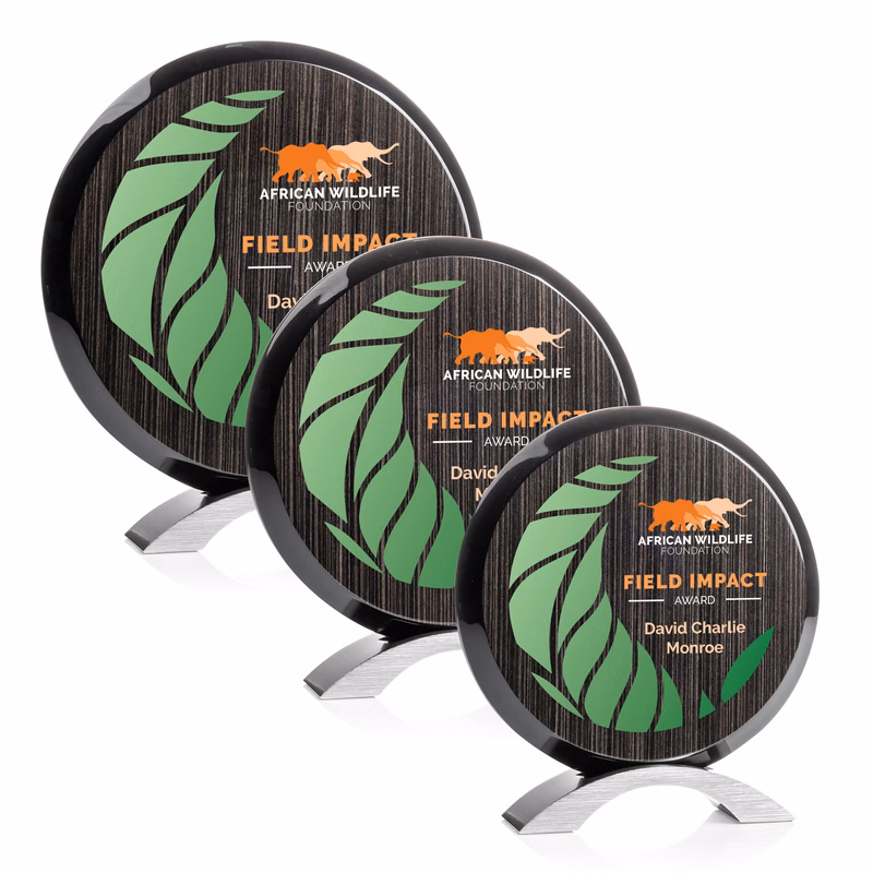 Donovan Slatewood VividPrint™ Award - Silver