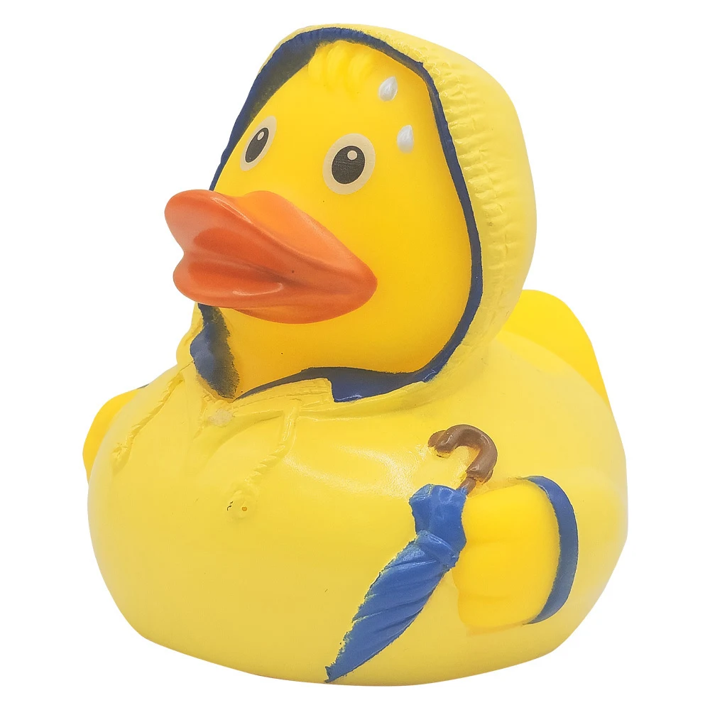 Bad Weather Duck 1