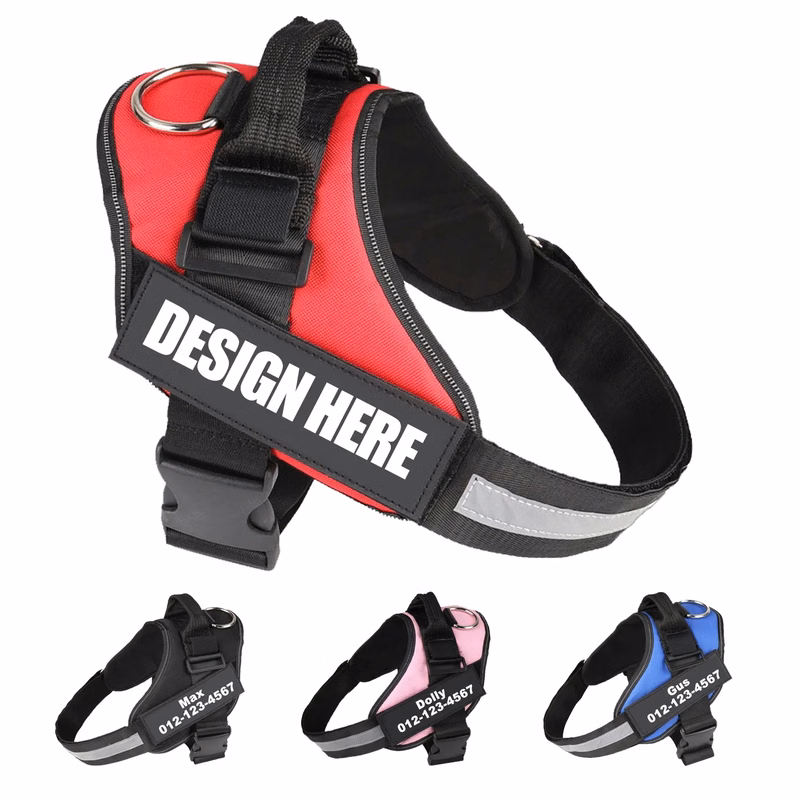 MOQ10 Pet Harness