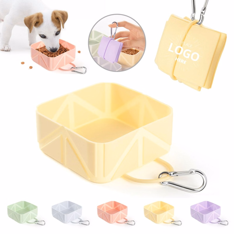 Pet Foldable Bowl With Carabiner