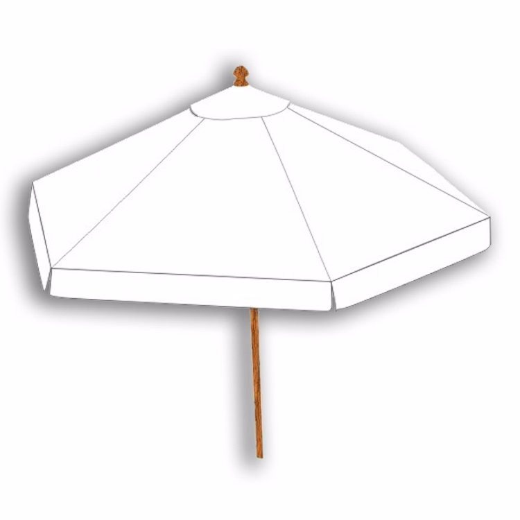 Beach Umbrella / Outdoor Market