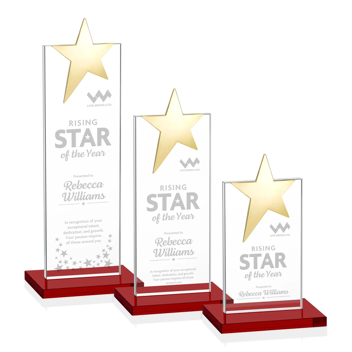 Bryanston Gold Star Award - Red 1